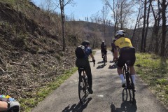 15a3fa27-6848-48c2-8b27-6d494068c5e8