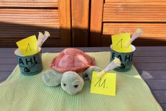 1f321ce8-1142-4446-8475-5c8248dcc530