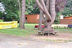 Sommerfest_9