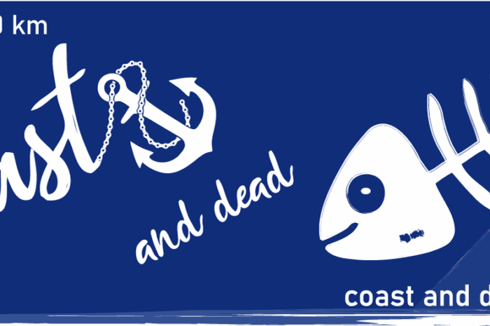 Cadfish 2026 | wild, wild east