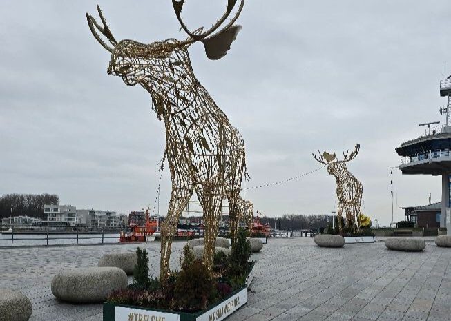 GRVL XMAS Socialride – Nikolaus Day